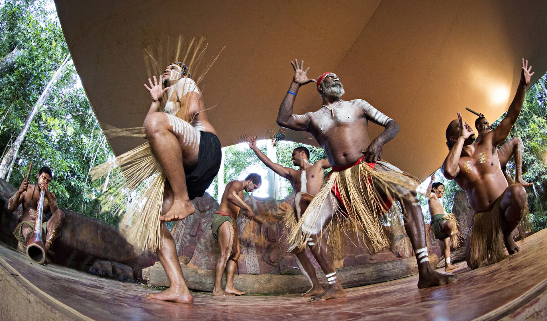 Kuranda Rainforestation Nature Park Full-Day Tour from Cairns - image 7